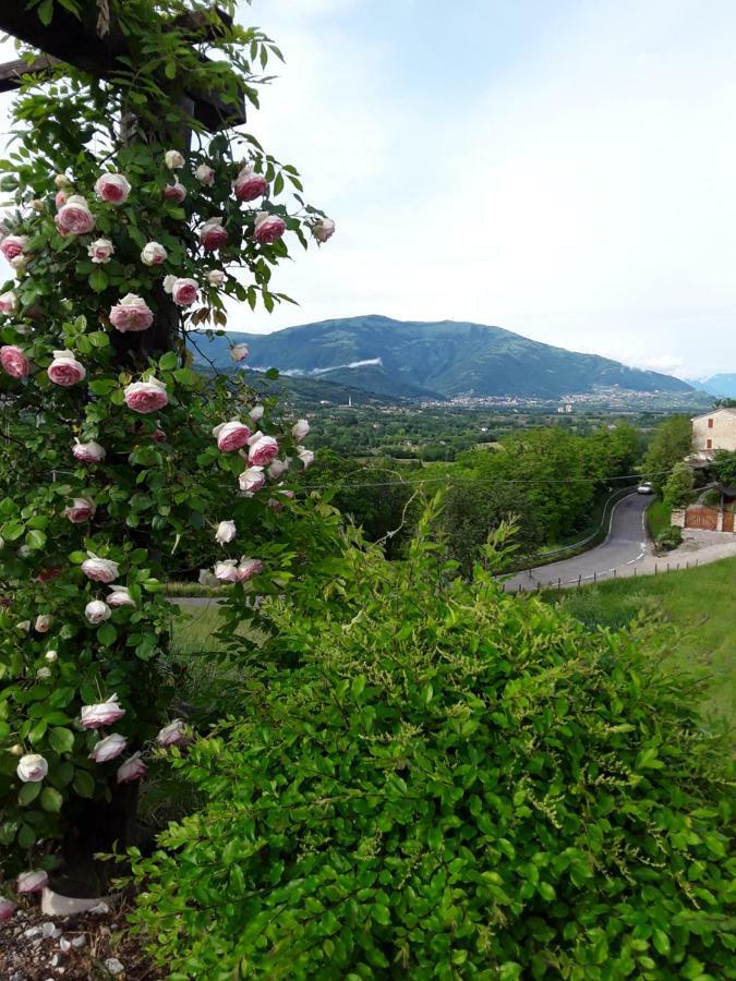 Locanda Bellavista Hotel Cavaso Del Tomba Eksteriør billede